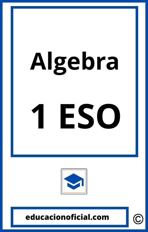 Algebra 1 ESO PDF