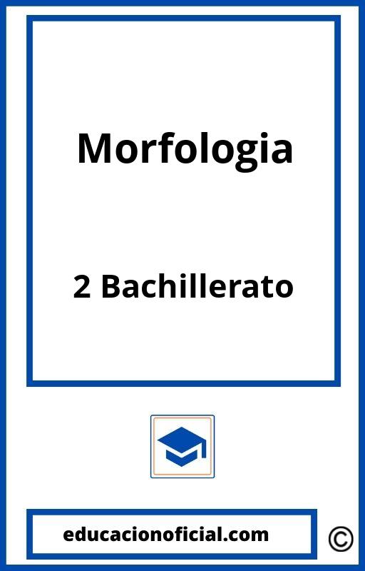 Ejercicios De Morfologia 2 Bachillerato PDF