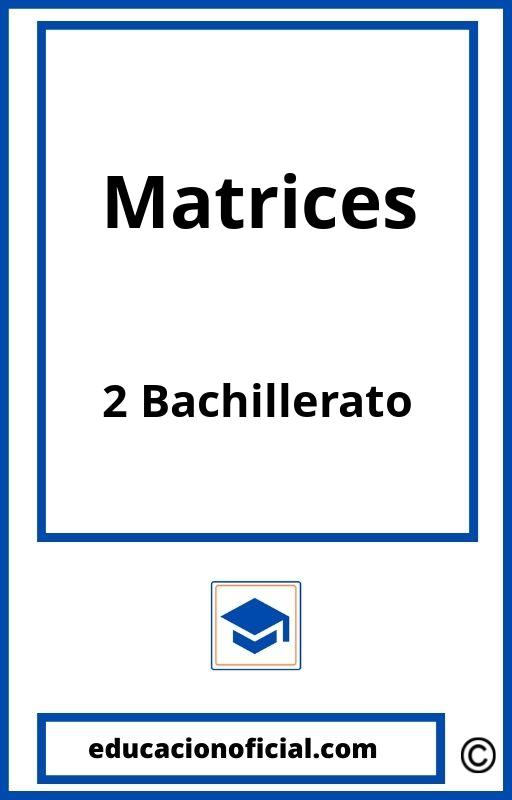 Ejercicios Matrices 2 Bachillerato PDF