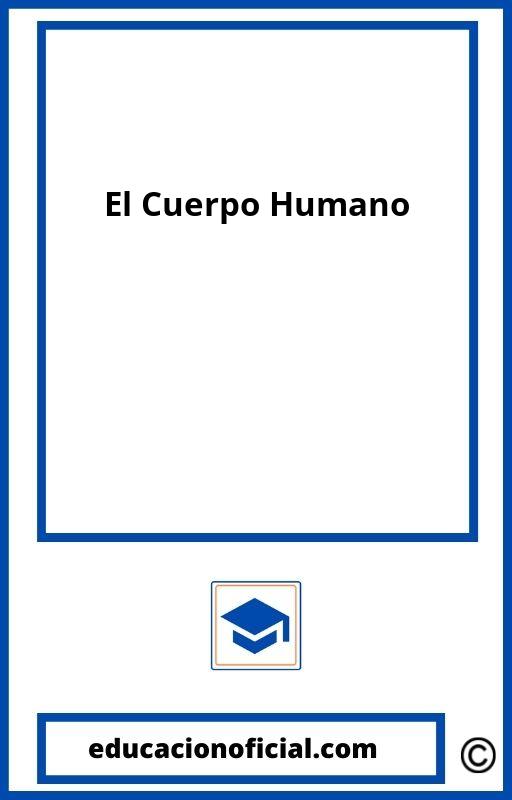 El Cuerpo Humano Primaria PDF