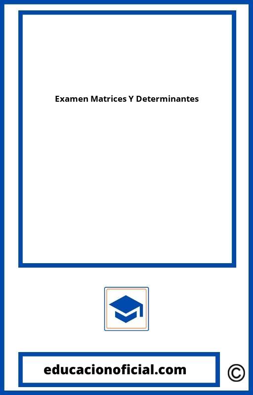 Examen Matrices Y Determinantes 2O Bachillerato PDF